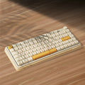 EWEADN V82Pro Tri-mode Customized Keyboard